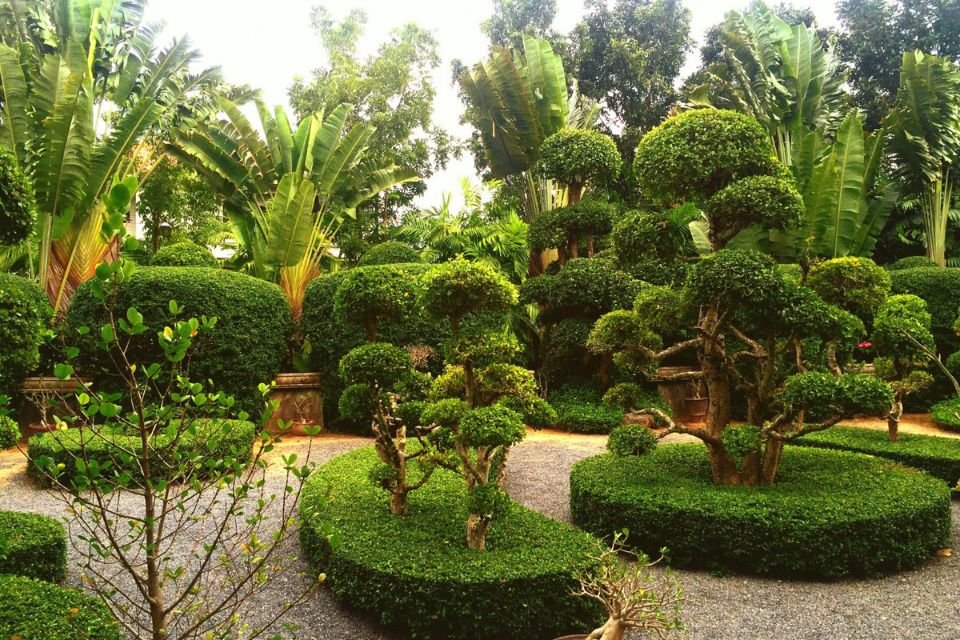 Tropical Landscaping